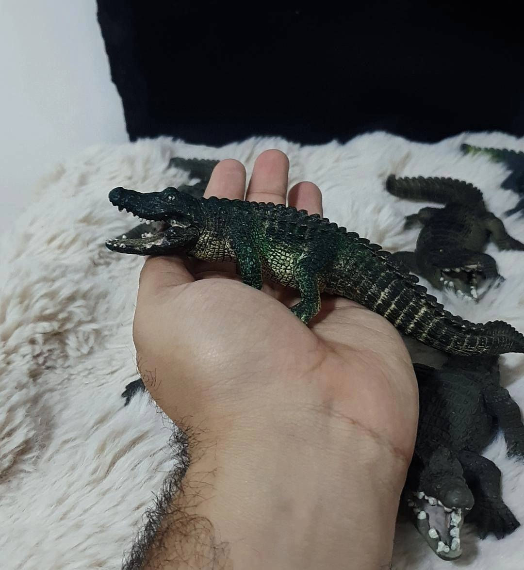 متوفر مجموعة تماسيح 
جميع القطع شلايش 🌱🤍


**إذا كنت صاحب هذا الإعلان وتريد حذفه لأي سبب، رجاءا أرسل رسالة إلى الدعم الفني**