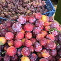 📍 بيت الفواكه العنوان: كربلاء المقدسة – حي العامل، بعد مول الباقر باتج...