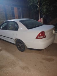 لومينه • امريكي • بيها مجال