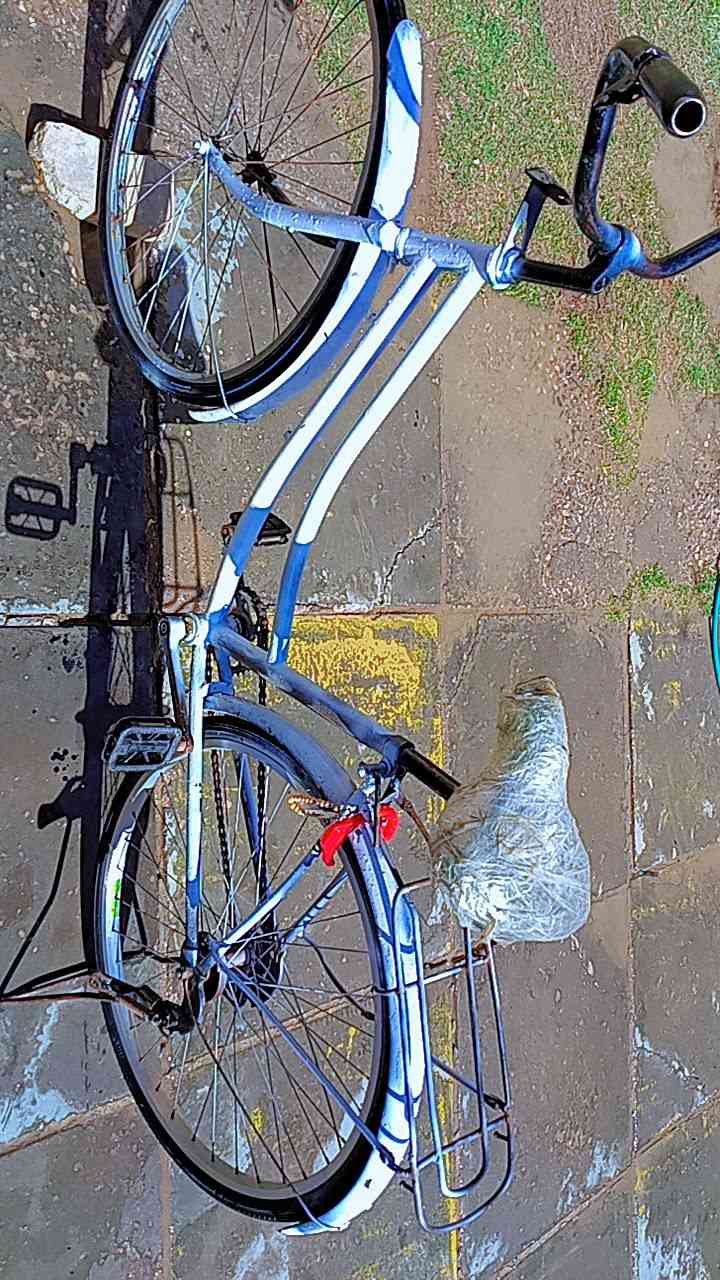 سلام عليكم  
باسكل البيع 
سعر 50وبي مجال 
الناصريه  قضاء الاصلاح 
رقم واساب 7882651656


**إذا كنت صاحب هذا الإعلان وتريد حذفه لأي سبب، رجاءا أرسل رسالة إلى الدعم الفني**