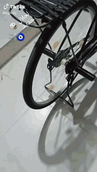 شباب بيسكل للبيع مكفول ونضافه فول ليريده يخابرني 07854553292