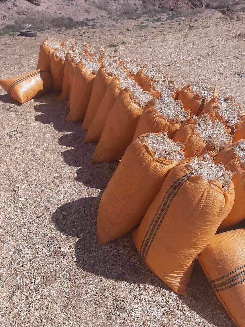 اليوم اليوم بانسب الاسعار ولفتره محدوده تخفيضات وبأنسب الاسعار
*********** او ***********
وتوصيل مجاني يوجد تبن
 نضيف + ابيض + الكبسه مال الكله 
مال الحاصوده الفوك + يوجد توصيل
 ديالى + بغداد + واسط الكوت
 بابل الحله + كربلاء + نجف
 ديوانيه + السماوه للاتصال والاستفسار
  متواجد واتساب وماسنجر
 وخطي *********** او ***********
