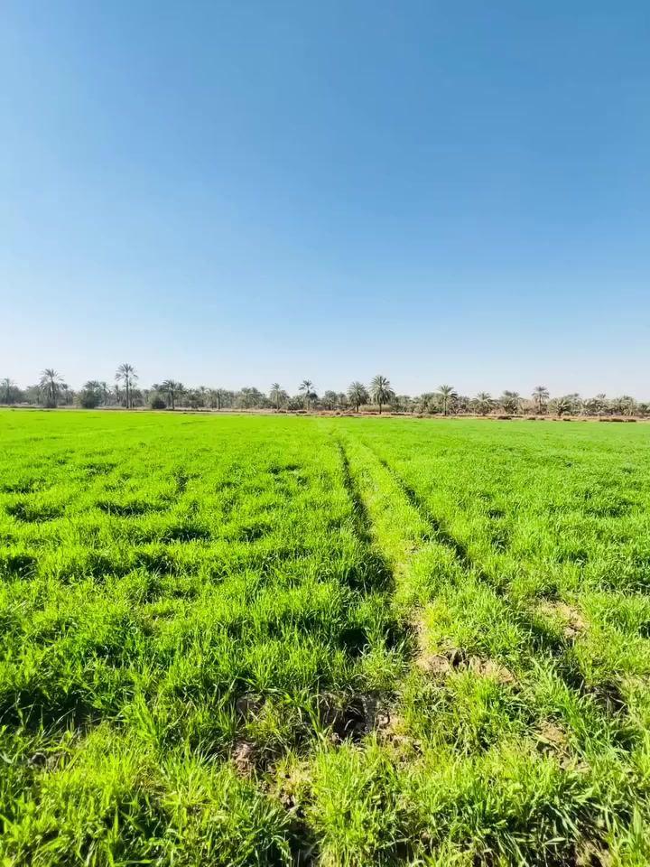 � للبيع قطعة أرض مميزة 🔹

📍 الموقع: الجعارة – تبعد 200 متر عن سدة الجعارة
📐 المساحة: 2 دونم
▫️ وجه الدونم الواحد: 30 متر
💧⚡ تتوفر خدمات ماء وكهرباء
📄 جنس العقار: طابو ملك صرف – سند 25
🌿 الأرض كاع حلو ومرتبة، تصلح للسكن كما تصلح كمزرعة

📞 للاستفسار والاتصال: ***********
