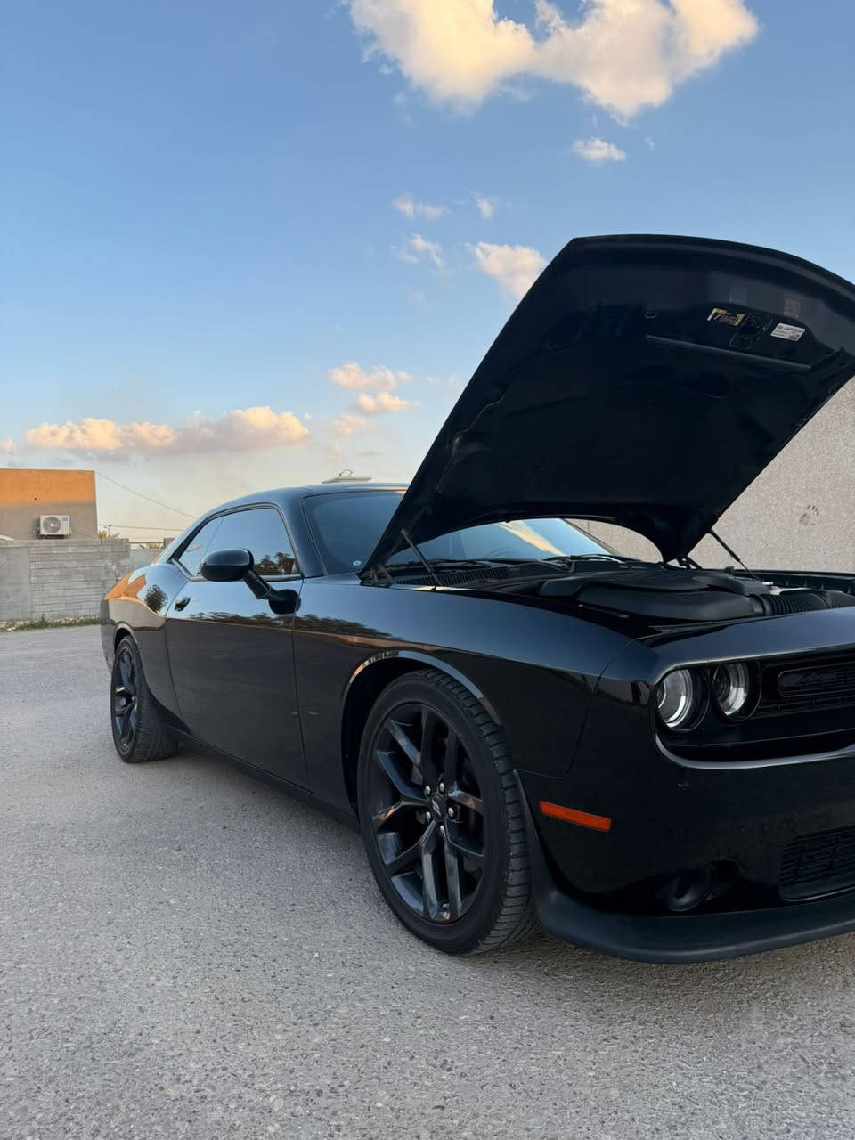 السلام عليكم 
تشالنجر 2023GT للبيع
ماشيه 60الف كيلو فقط 
وبيها باج تضليل السياره حلوه 
سياره مابيها اي نقص 
دواخل شاصي كله مكفول
رقم الشاصي موجود بلمنشور
وسونار هم بلمنشور
كير محرك مكفولات شرط الفحص 
سياره رقم دهوك بأسمي 
تحويل مباشر 
حادثها جاملق خلفي فقط بدون دواخل وشبر بارد فوق قبق البانزين غير ذني ماكووو
السعر:228وبيها مجال بسيط  
العنوان الرمادي حصيبه الشرقيه 
الهاتف:***********
