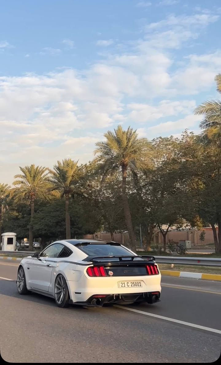 السلام علیکم 
موستنگ v6 ماشية ٦٠ الف حادث جانبي ۳ قطع 
لغد شاصي كير مکینة کفالة
 علیها هواي اضافات جکات s3 ب 25 ورقة كلج مکلاود ب17 ورقة داخل کله کاربون تو کلر غطي مري 
دبات اج تي بور دفیوزر لحية جلاتين 
سکوبات جانبيه 
وهواي تفاصيل برمجه 
مکانها ديالى
تحويل وكالة کله موجود
السعر 140 بيها مجال
***********
