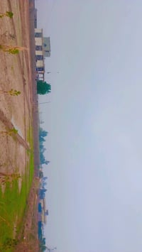 دونم زراعي • بيت ١٤٠م • الحفرية