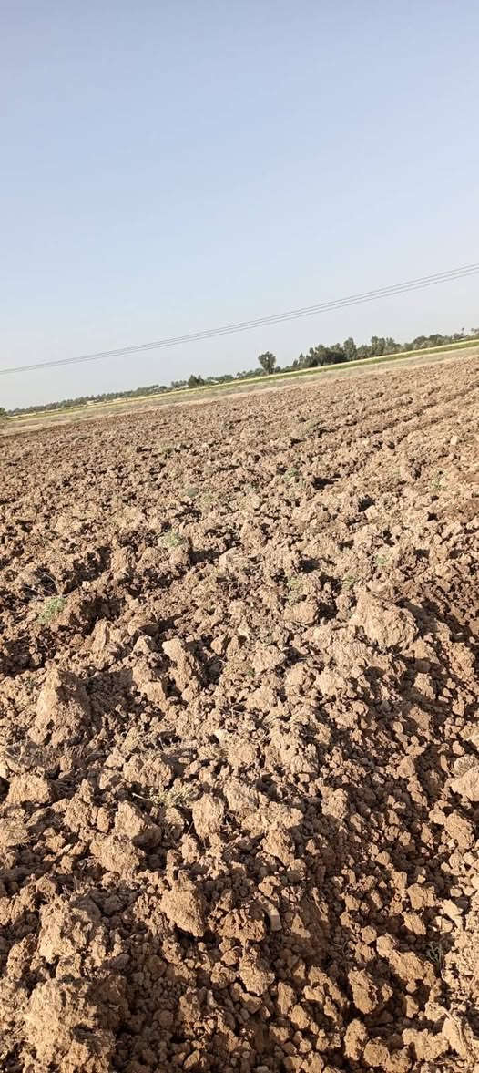 للبيع ٥دونم طابو سند 25 تحويل مباشر وجه شارع تبليط مراديه زهاوي طريق المحسن القديم ***********

