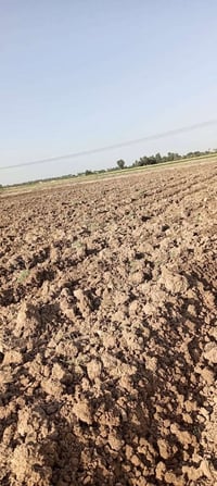 ٥دونم • سند٢٥ • مراديه زهاوي