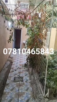 النجف الاشرف حي ميسان • ٢٠٠م • ٤ غرف