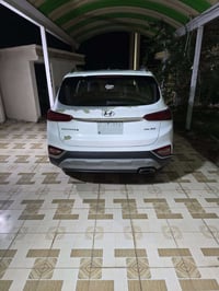 سنتافي ٢٠١٩ • وارد خليجي • ٧راكب