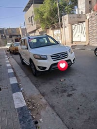 سنتافي • ٢٠١٢ • رقم اربيل