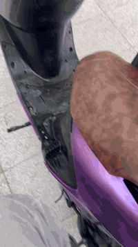 فراشة فحل • نضيفه • المجر الكبير