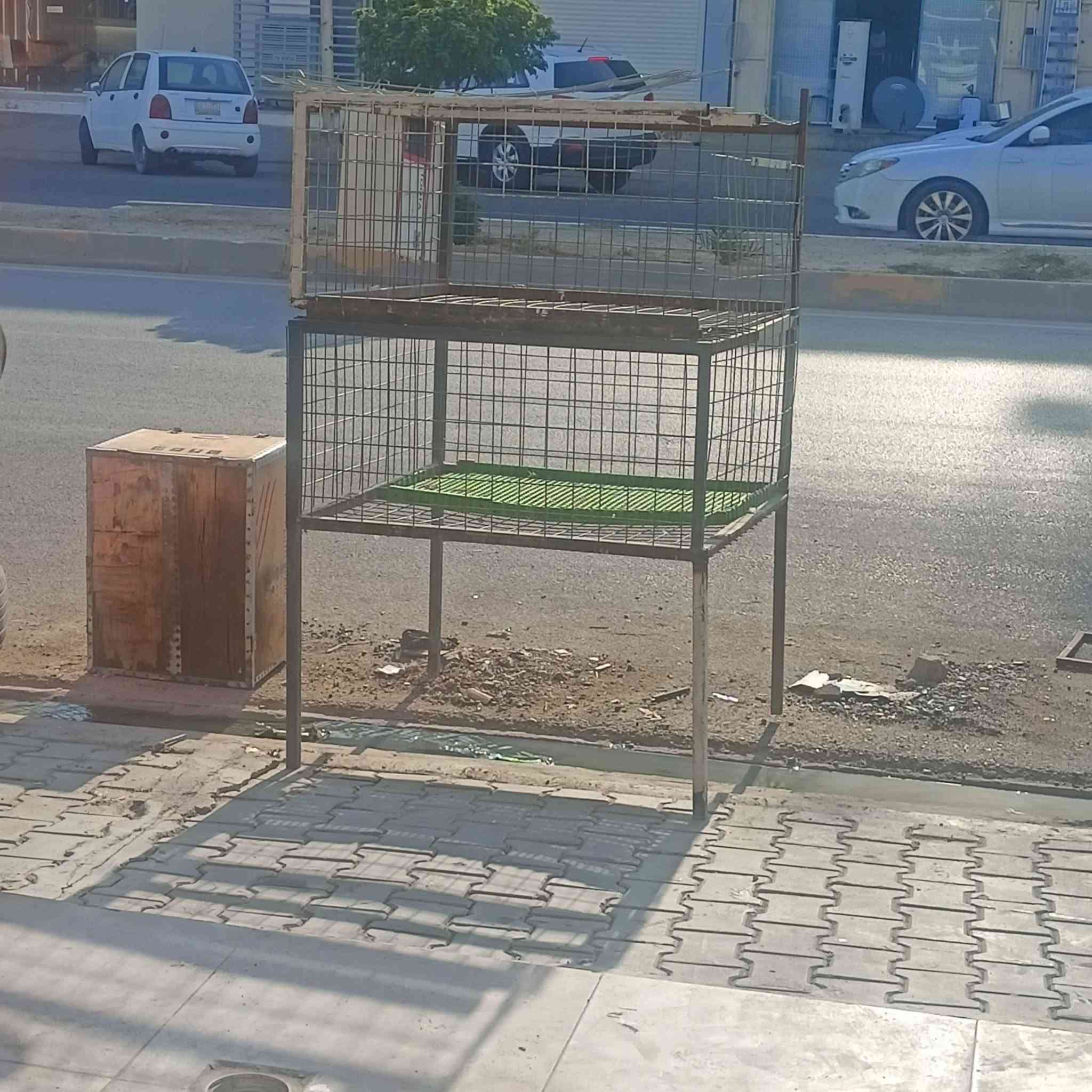 محل دجاج سايدين بنجا علي ايجاره 100 والاغراض 750 كركوك, العراق


**إذا كنت صاحب هذا الإعلان وتريد حذفه لأي سبب، رجاءا أرسل رسالة إلى الدعم الفني**