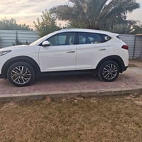 توسان 2020 الكاصد كفاله عامه من الصبغ البارد فقط رصعه بجنطه سانتيم فقط...