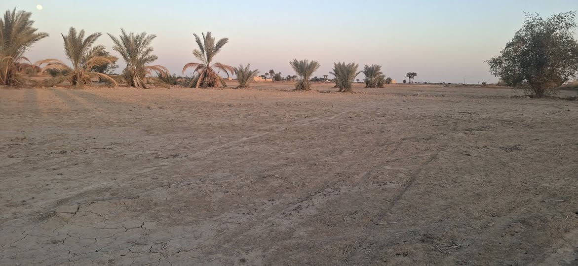 كاع بقريت الناطور قرب المدرسه شارع تبليط ماء اساله ماء سكي كهرباء نخل حمال ابيع من ٢دونم الى ٢٣دونم ***********
