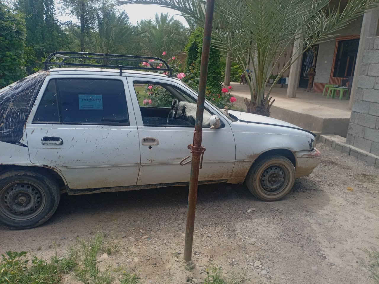 سياره دايو سلو حبل ٦ورقات وبيها مجال محرك كايم كير شرط للاستفسار ***********
