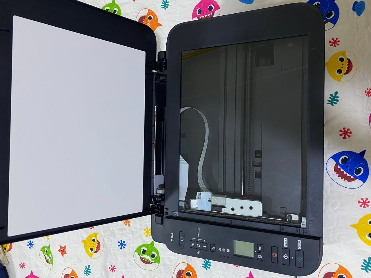 طابعة كانون TS3340 طباعه واستنساخ واسكنر 
طباعه ممتازه ونضيفه كلش استخدام قليل تتطبع بسرعه وبدقه عاليه جدا نزلت نموذج عن طباعته تتطبع كرتات وستيكرات وصور سعرها 75 مع توصيل وياها كارتونه الوان جديده


**إذا كنت صاحب هذا الإعلان وتريد حذفه لأي سبب، رجاءا أرسل رسالة إلى الدعم الفني**