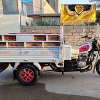 ستوتة • ٢٠٢٣ • تحويل مباشر