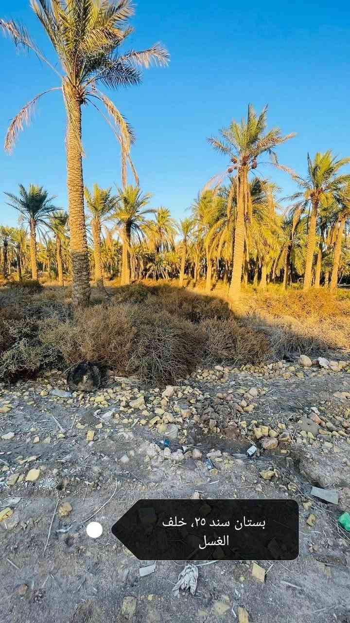 بستان للبيع طابو أسهم للبيع
طريق سوك فضليه خلف لغسل الأصفر كاع الـ سعدون قريبه للشارع لعام 

مساحه ٢٠٠٠ متر 

وجه ٢٠ ونزال ١٠٠ 

السعر جدا مناسب ٩٥ وبيه مجال للشراي 

يصلح استثمار او سكني 

لاستفسار والتواصل خاص او على رقم ***********

نستقبل كافه العروض الطابو والزراعي في جميع أنحاء سوك الشيوخ
