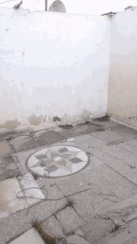 يا الله بيت بالزعفرانيه تجاوز هيكل ما ابي سقف للبيع سعره 3500 وبي مجال الشراي راسلني الواتساب لو يدق علي على الرقم ***********
