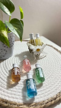 عروض • مسكات • هدية مخمرية