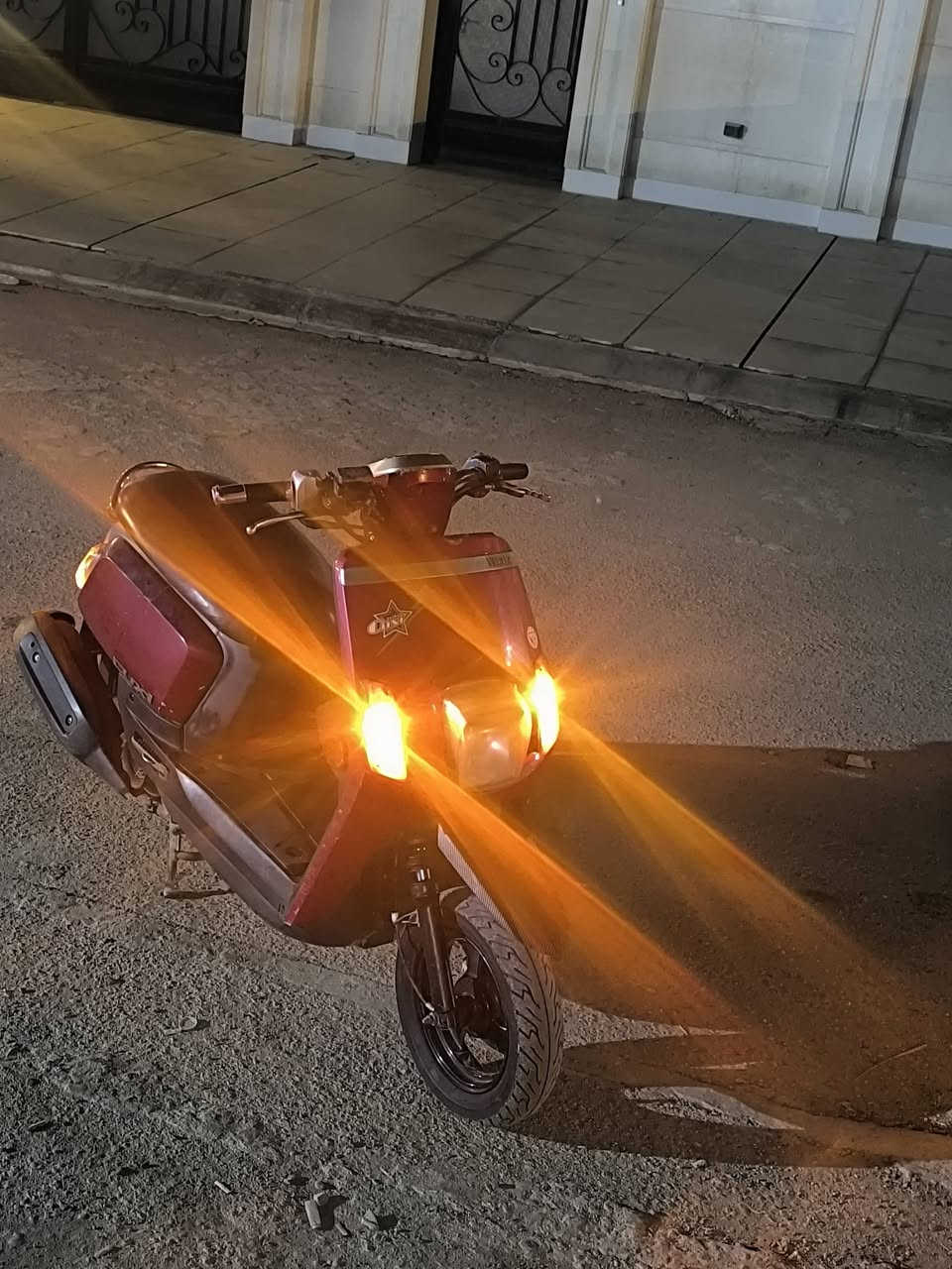 بوليس نوزل مسطره للبيع مكاني  المشتل رقم ***********
