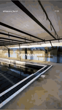 السلام عليكم
مزرعه نصف دونم 
جاهزة من كلشي المدائن قرب مطعم كرم المدائن
مسبح كبير +جاكوزي 
حديقة كبيرة 
كراج يتسع ل 8  سيارات 
مجموعة باربيكيو 🍖 شواء 
ملاعيب أطفال 
منضدة +تنس 
بيت يتكون من 4 غرف نوم +مجمع صحيات +صاله كبيره +مطبخ 
جلسه خارجية 
ترك خلفي 
بيت مأثث كامل سبالت غرف نوم تخم كلشي جاهز
للاستفسار للاتصال 
***********
