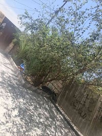 بيت • السبل الاولى • للبيع