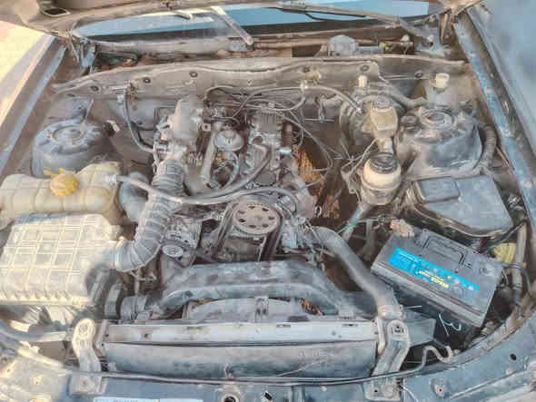 سلام عليكم دايو رقم ألماني ميسان كير مكينه زينات شغاله حداده باور زينات سنويه عاج راعي مانداله كهربيات شغاله مكاني البصره مروس سمند بيجو مكاني البصره سعر ١٣ ورقه سياره شغاله بدي حلو دوخل حلو اتصل وتساب رقمي ***********
