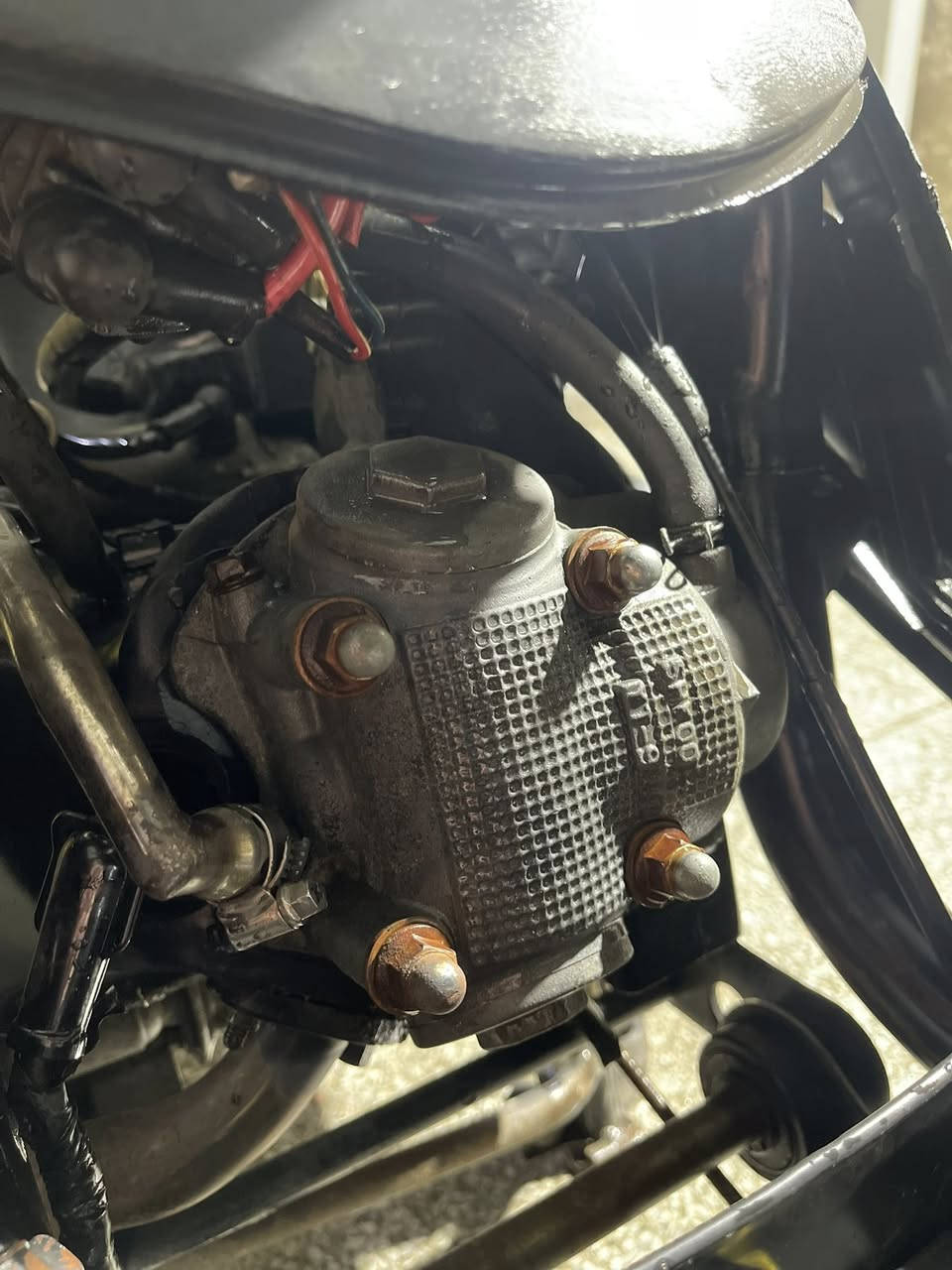 سلام عليكم ماكس عدله 49 بلاد شلعه ومعدل تاكل الكاع للتواصل واتساب *********** مكاني بغداد حي جامعه اصحاب نفوس ضعيفه لاتطبون
