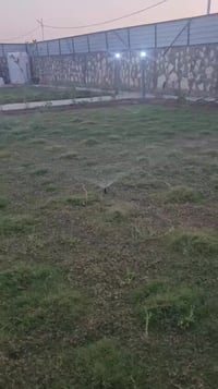 مزرعة • ملك صرف • ١٢٠٠م