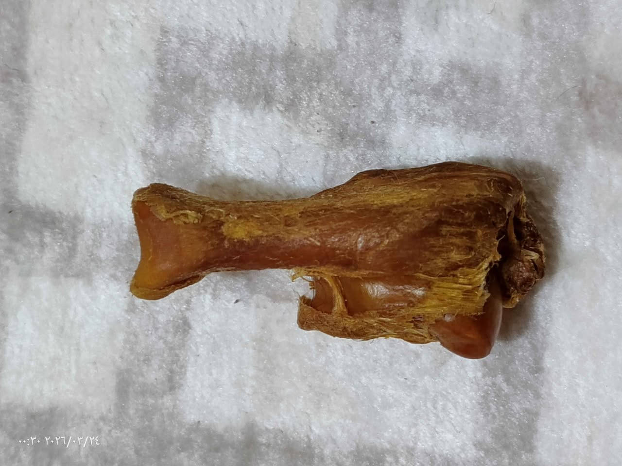 كعب الذيب فوائده لجلب الحظ وعلاج للمفاصل البصرة, العراق


**إذا كنت صاحب هذا الإعلان وتريد حذفه لأي سبب، رجاءا أرسل رسالة إلى الدعم الفني**