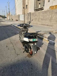 فراشة • جديده • سلف