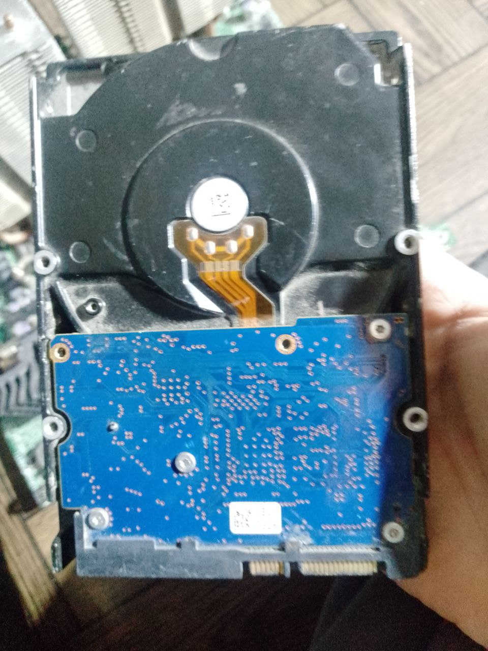 سلام عليكم 

غراض للبيع 

بورد X8DT3 شغاله بس ما توصل باور 

معالجات XEON X5680 3.33GHZ مو امزون وللعلم معالجين 

رام RAM 36GB مجموع وللعلم اكو قطعه شغاله بس تسوي BLUE Screen 

كارت عرض صورة GT 210 1GB DDR3 مع تحوية من DVI TO HDMI 

باور فقط لتشغيل البورد موضح بل صور 

هارد 4TB فحم فحم ما مفحوص انته وحضك وياه كيبل ساتا

معالج I5 3570 وياه بورد HP H61 البورد عاطلة عاطلة للتنوية 

والمعالجات وياهن مبرد نحاسي 8 انابيب ممتاز تبريدة عن تجربة سابقة 

توصيل اكو .


**إذا كنت صاحب هذا الإعلان وتريد حذفه لأي سبب، رجاءا أرسل رسالة إلى الدعم الفني**