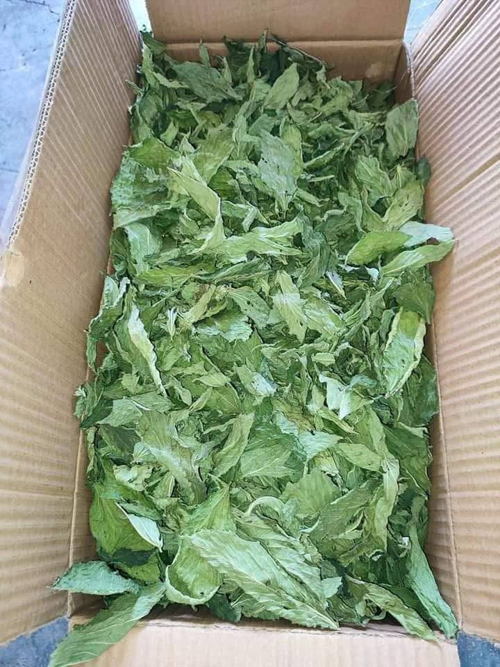 مساء الخير يتوفر لدينا
ملوخية خضرا تازه 
ملوخية يابسة  
ملوخية بعيدان
الي بدو يحجز يتواصل ع خاص
وفي توصلية كافة اربيل


**إذا كنت صاحب هذا الإعلان وتريد حذفه لأي سبب، رجاءا أرسل رسالة إلى الدعم الفني**