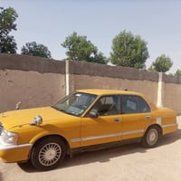 ارنب • البصرة