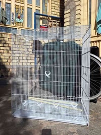 قفص • جديد • العمارة ميسان