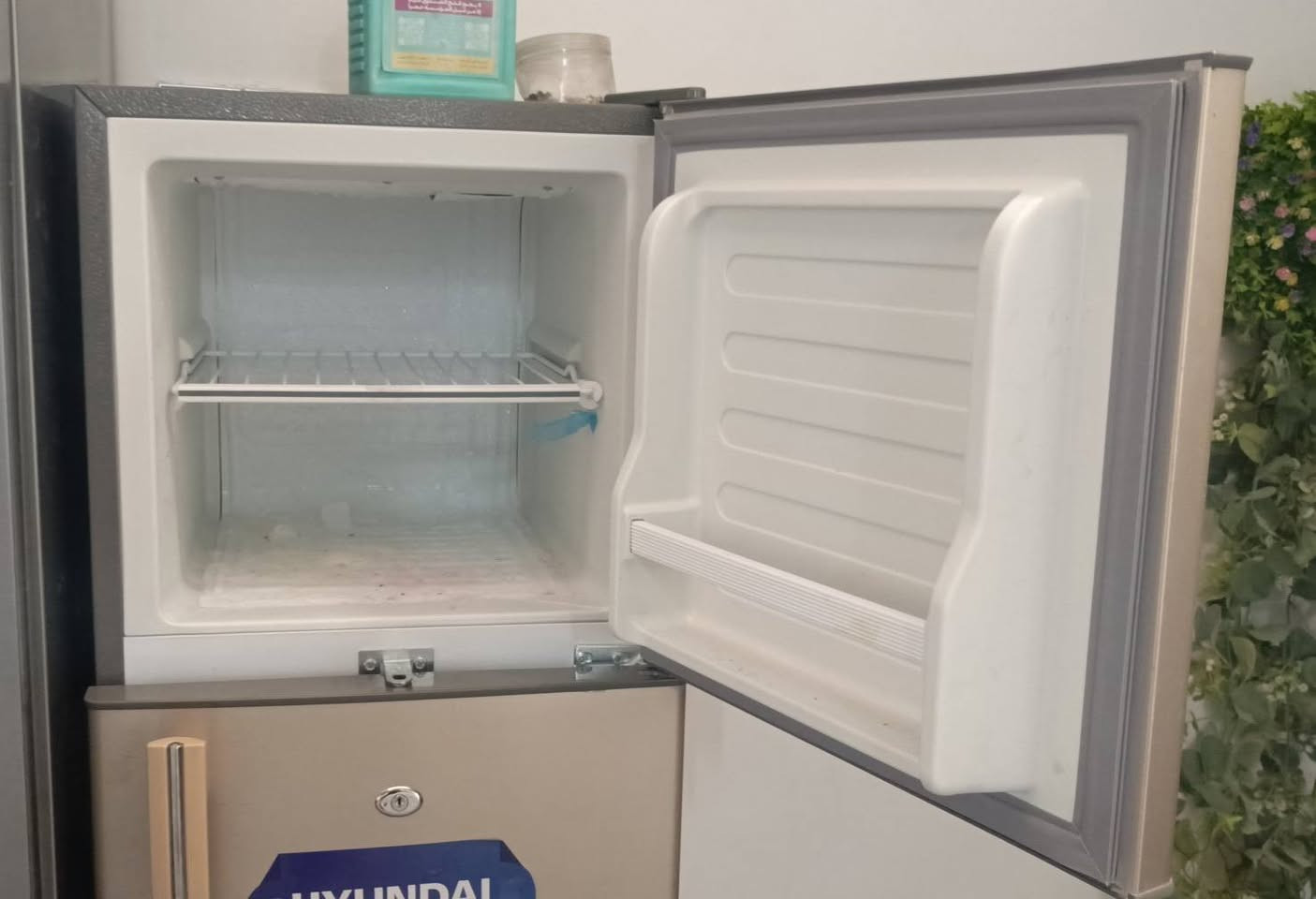 عندي هاي ثلاجه 10 قدم صار اسبوع من اشتريته عونداي اصلية صار اسبةع من اشتريتها صارت عليه 260  والله  
ابيعها 250  والله اريد اشيل توازيت عالبيع


**إذا كنت صاحب هذا الإعلان وتريد حذفه لأي سبب، رجاءا أرسل رسالة إلى الدعم الفني**