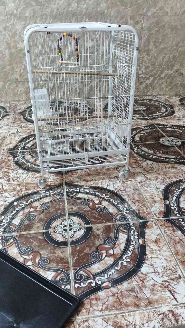 قفص 🥰🦜🦜
قياس 80*50
على اول تم 65🍏🌹


**إذا كنت صاحب هذا الإعلان وتريد حذفه لأي سبب، رجاءا أرسل رسالة إلى الدعم الفني**