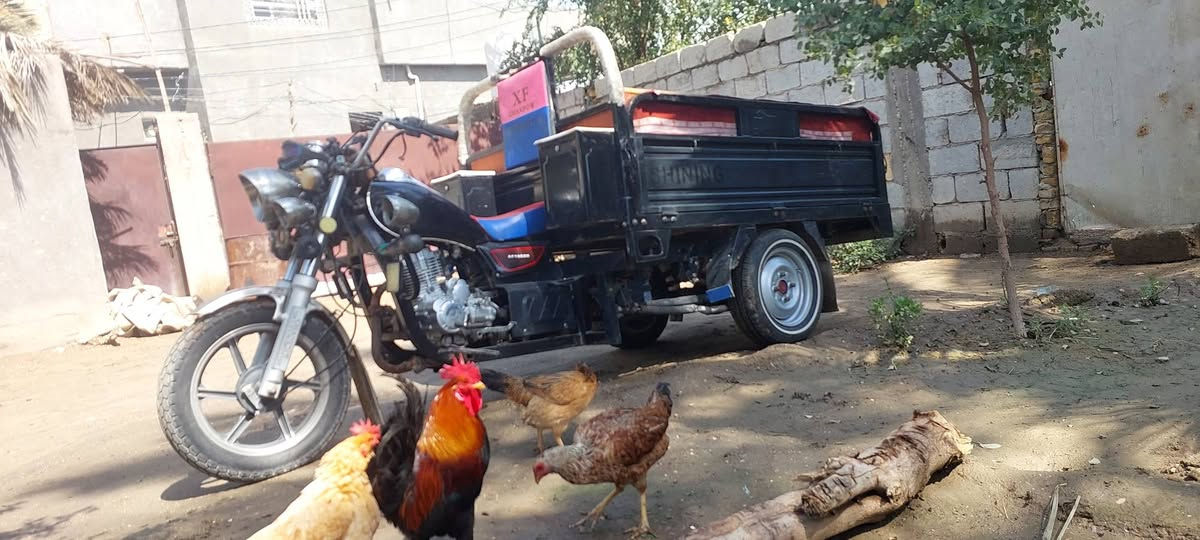 السلام عليكم ستوته ٢٢ رقم وسنويه انكليزي شخط مابيه محتاج ورايد ابيعهه
***********
