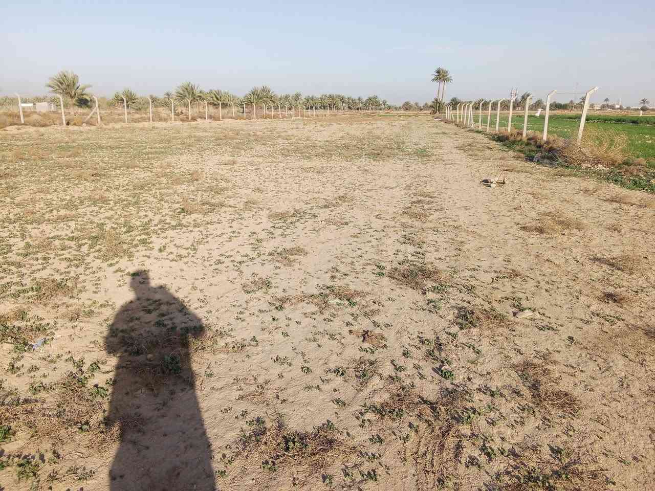 دونمين قرب مزرعة نخيل طابو زراعي سند ٢٥طابو واجهه 45 بسم شخص واحد بسعر مناسب جداً  الاستفسار على هذا رقم ***********
