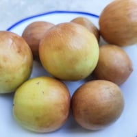 نبك تفاحي • درجة أولى • قطاع ١٥ شعبان