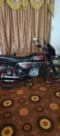 دراجة بوكسر • موديل 2023 • كارتون