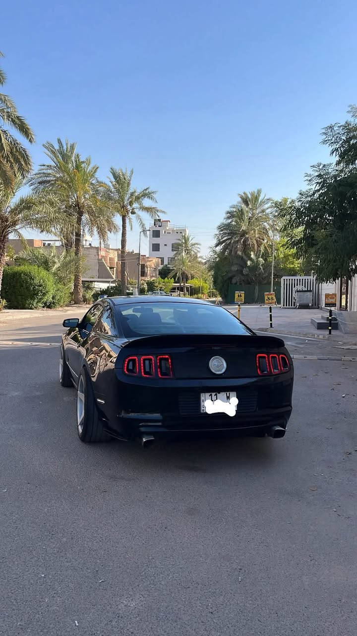 السلام عليكم الحنطور للبيع او المراوس 🐎

موستنك 2013 v6 

السياره باسمي تحويل ثاني يوم رقمها بغداد 

ماشية 90 ميل وبيها قطعتين صبغ  فقط بنيد وجاملغ 

عليها برمجة طلقات وهدرز وتفريغ 

صدر امامي خلفي جديد 

شباك ودفيوزر ولحيه شيلبي 

منضومه المي كلها جديده صار فتره بسيطه من بدلت ( راديتر مروحه واتر بم ولف حماوه ) كله جديد 

تخم بلكات نوزلات فيت بم كله جديد تنسا 

باتري وسلف جديد 

شاشة من احسن نوعيه شديتلها وتدعم ( الكار بلي ) ولا تحمى ولا تعلك 

اكزوز ريمونت يعني لمرور يصير صاحبك 

ويل 20 نجمة  تو سايز اصلي  بي نصبه مخيفه

زرع عدسات عيون الشيطان يم اسرار الاسدي 

مكينه وكير وكهربائيات  كفاله وتفحص وين متريد 

اعتذر مرح اذكر السعر لان هوايه عالم تكسر بحلال الناس وسياره مصروف عليها هوايه ومتتقارن بل مهجومات ( السعر خاص ) 
*********** واتس
