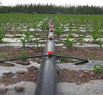 فنون الزراعه والمقاولات العامه تجهيز المزارع والبساتين وكادر صواعيد نخيل لدينا جميع انواع النخيل من البرحي والمجهول والمكتوم جميع النوعيات تجهيز البساتين المتروكه وتسميدها وزراعتها نعمل في جميع محافظات العراق \***********/***********
