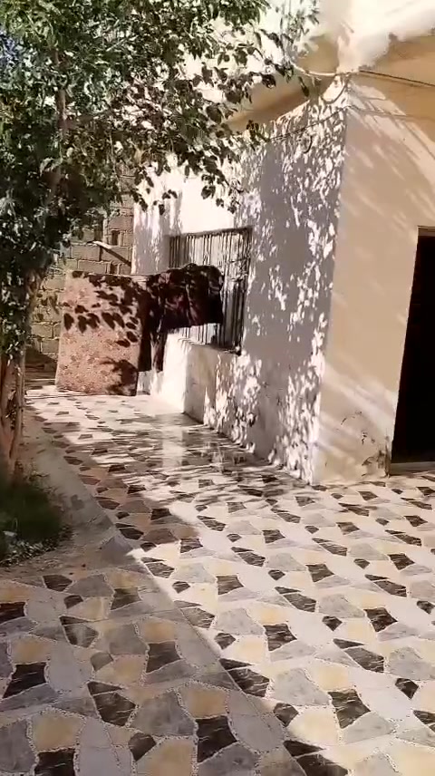 سلام عليكم اخوان يوجد بيت للبيع مساحة ٢٦٠ متر في حي القادسيه قرب سوبر ماركت الودق قرب جامع صادق للاستفسار ع رقم *********** يوجدواتس  اب
