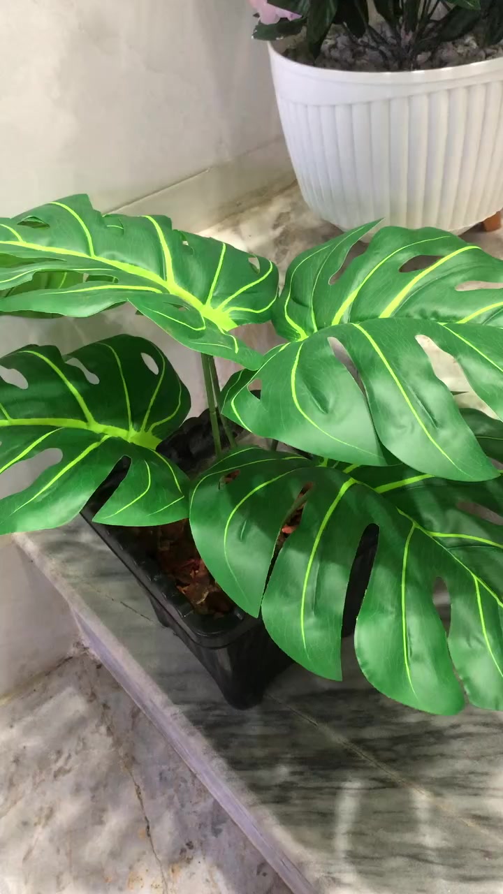 للبيع بغداد الشعب


**إذا كنت صاحب هذا الإعلان وتريد حذفه لأي سبب، رجاءا أرسل رسالة إلى الدعم الفني**