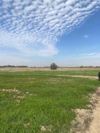 أرض زراعية • ٣دونم • طريق نعوميه