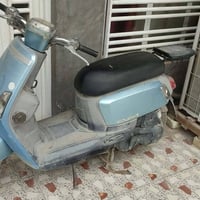 بوليس 14 • لون بحري • بدون صبغ