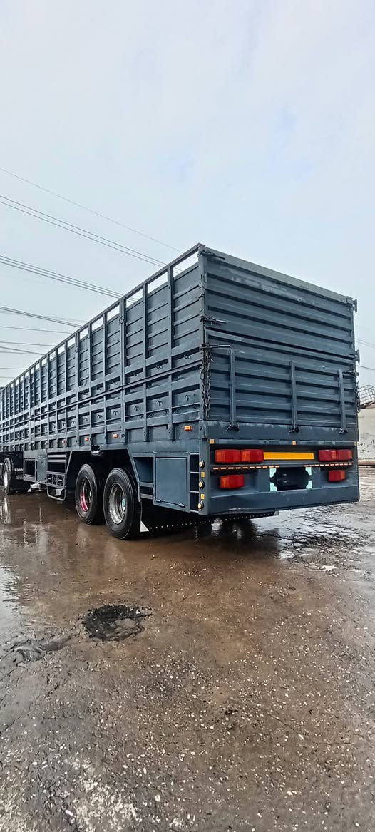 سلام عليكم عربانه البيع مكان موصل سعر 80 الشراي خبار لاموشراي لانتصل الله يرحم والديكم لاحد يرسني ع ماسنجر لا دز طلب صداقة طوله 12/50 / ارتفاع 190 *********** (***********)
